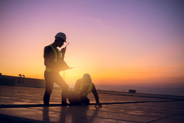 Professional Roofing Contractor in Downers Grove, IL
