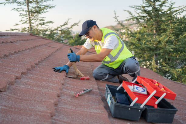 Quick and Trustworthy Emergency Roof Repair Services in Downers Grove, IL