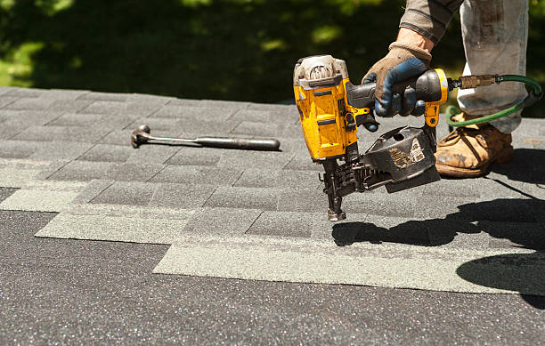 Best Roof Waterproofing Services  in Downers Grove, IL